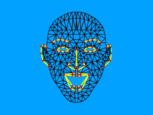 Facial Emotion Prediction System